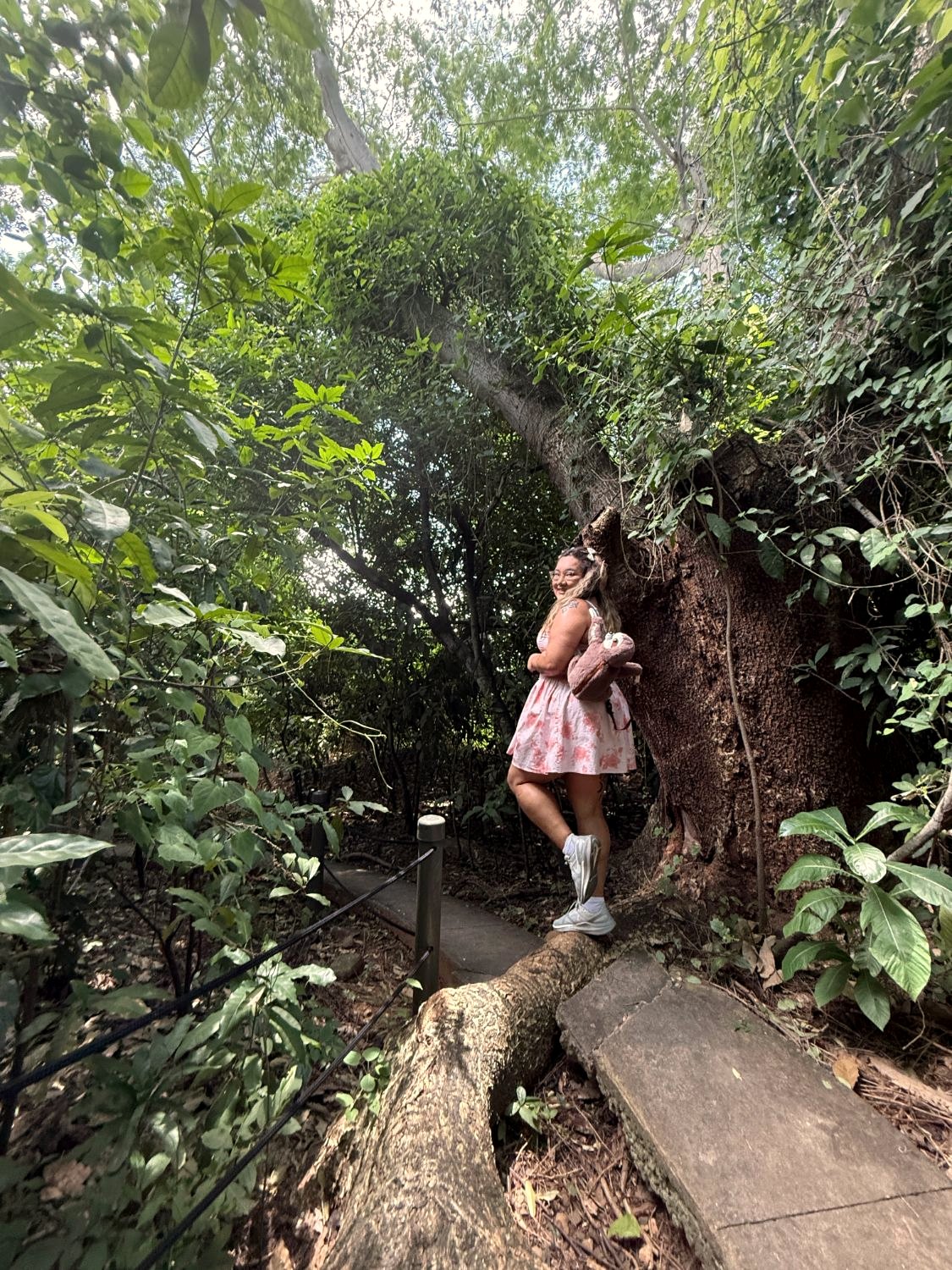 Xsana Saphire on a jungle path in Panama, standing on the root of an old tree