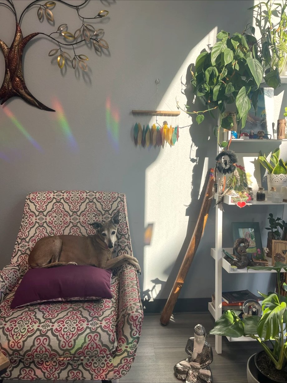 A yoga studio set for a workshop — mats, bolsters, and singing bowls, Xsana at the front