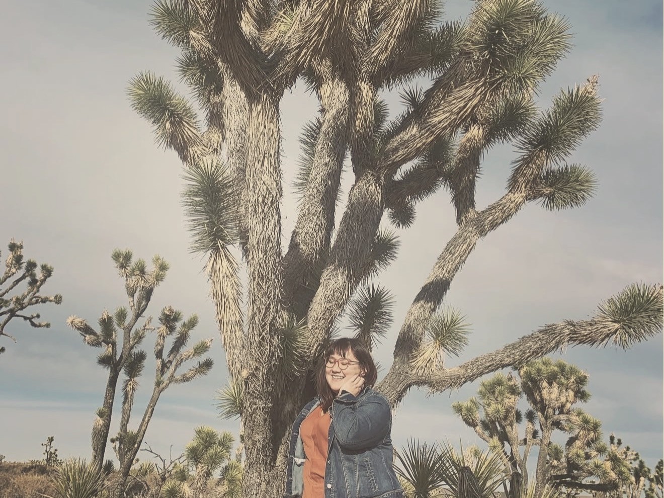 A towering Joshua tree in the Mojave high desert, smaller Joshua trees and pale scrub spreading out under a soft blue sky — Xsana standing small at its base.